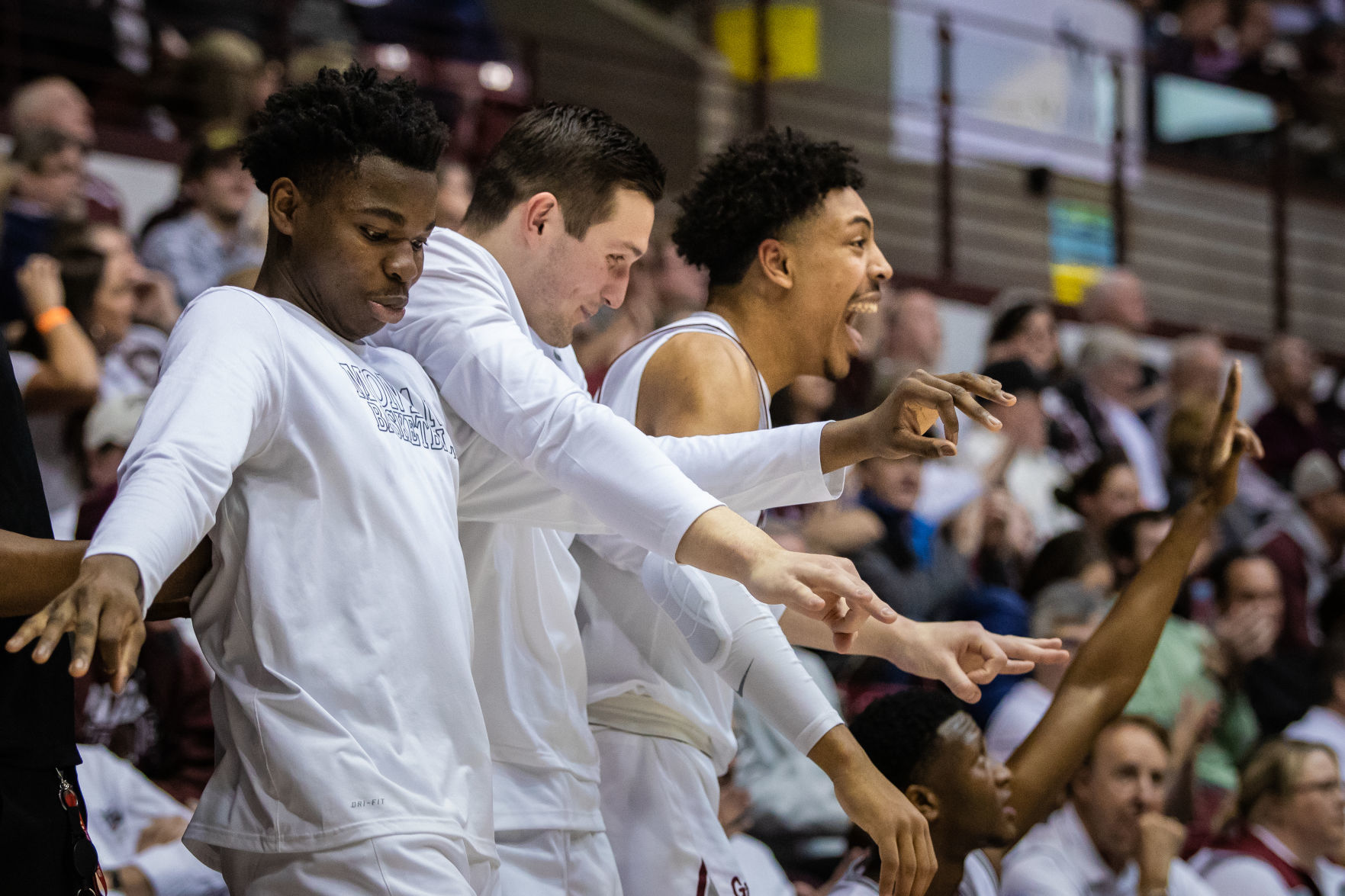 Griz v. Weber 12